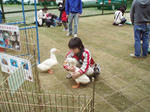 hureaihiroba2.jpg