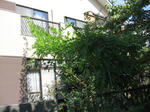 2009_09_25m1.JPG