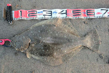 ebc8d049.jpg