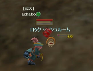 20080127h.jpg