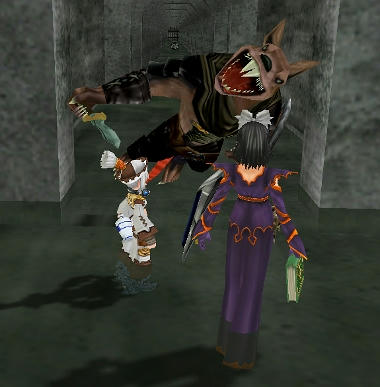 20100627b.jpg