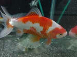 d4f442c7.jpg