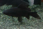 e5797f97.jpg