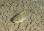 photobg90.jpg