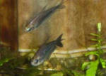 photobg92.jpg