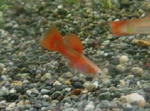 a9b8016b.jpg