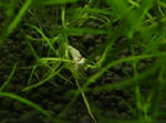 4e559cf2.jpg