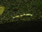 2ad6ebc3.jpg