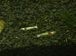 f2022361.jpg