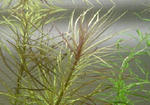 b891b968.jpg