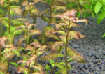 8dcd7891.jpg