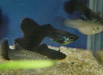 2129e9d1.jpg