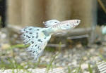 f9365b3f.jpg