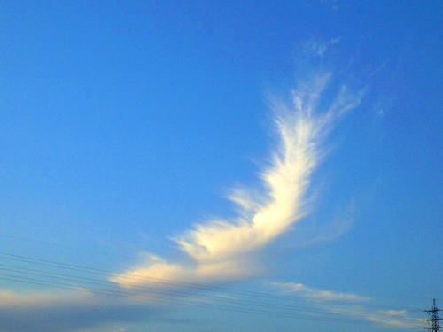 CA3A0031.JPG