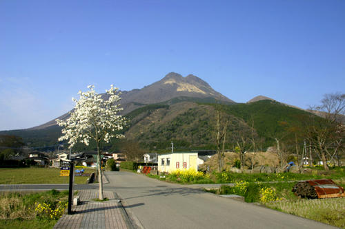 IMG_3835.JPG