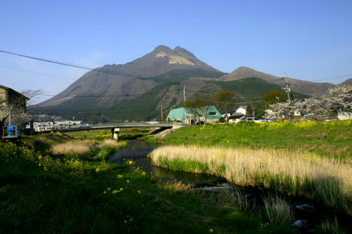 IMG_3838.JPG