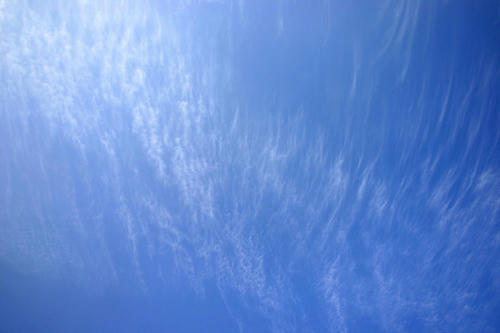 IMG_4134_1.JPG
