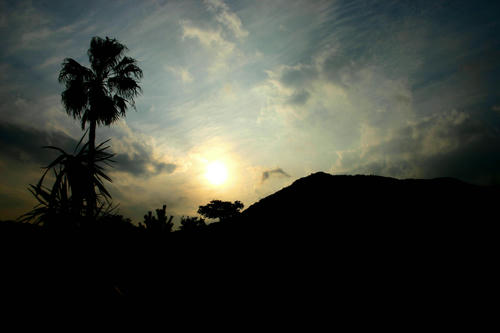 IMG_4136_1.JPG