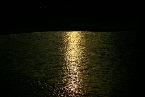 IMG_4141_1.JPG