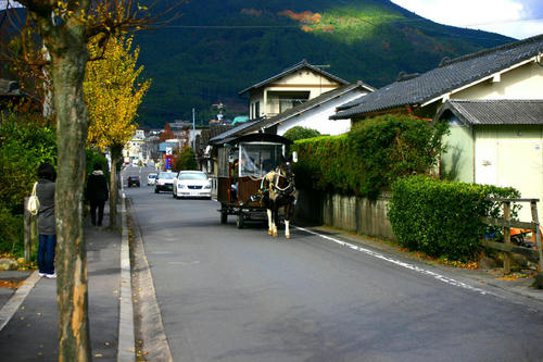 IMG_4144_1.JPG
