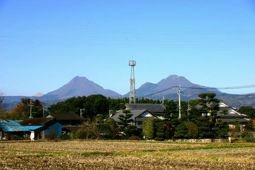 IMG_4223_1.JPG