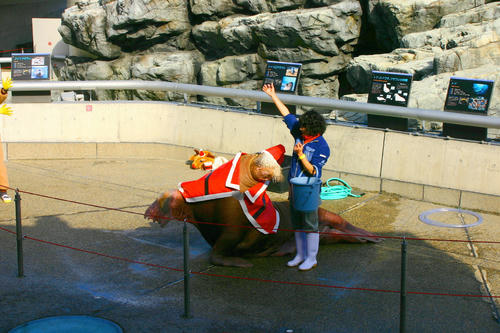 IMG_4234_1.JPG