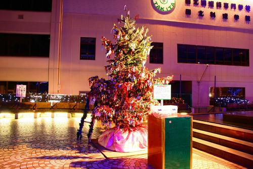 IMG_4246_1.JPG