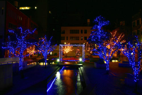 IMG_4248_1.JPG