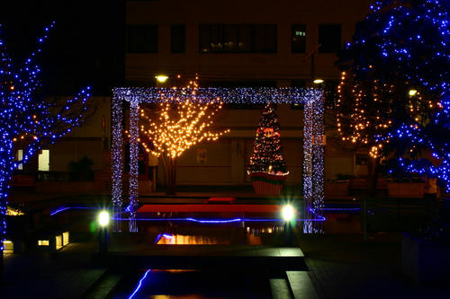 IMG_4250_1.JPG