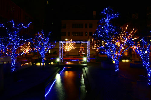 IMG_4251_1.JPG