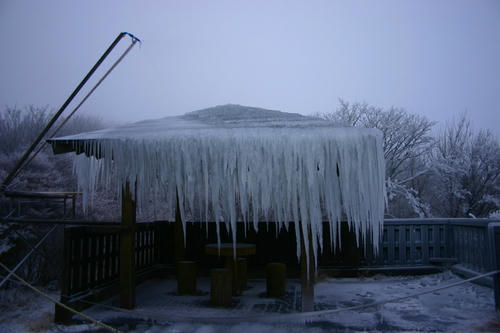 IMG_4262_1.JPG
