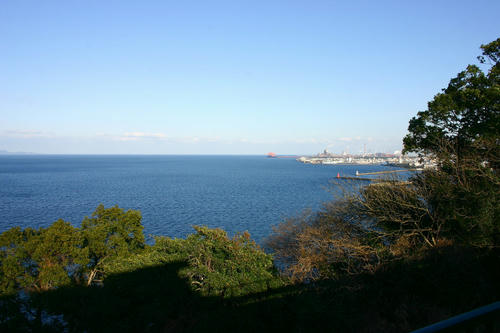 IMG_4286_1.JPG