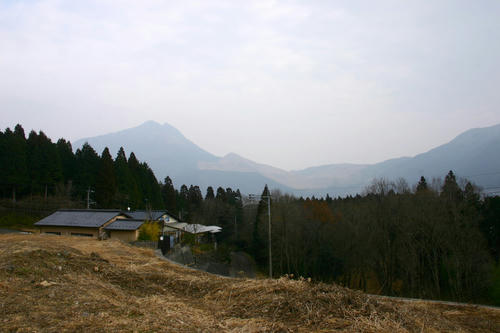 IMG_4290_1.JPG