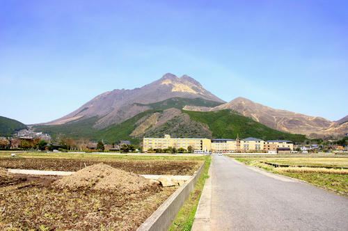 IMG_2036_1.JPG