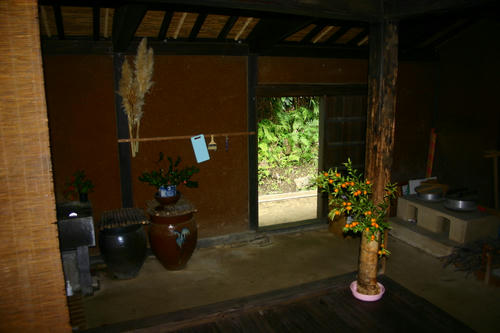IMG_4313_1.JPG