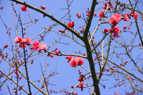 IMG_4318_1.JPG