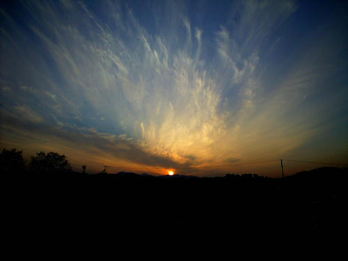 CA3A0077_1.JPG