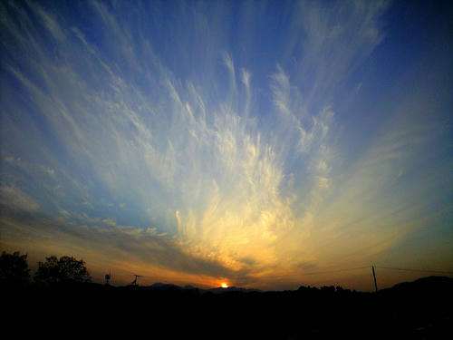 CA3A0078_1.JPG