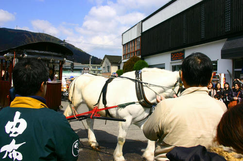 IMG_4362_1.JPG