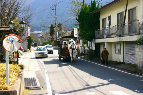 IMG_4383_1.JPG