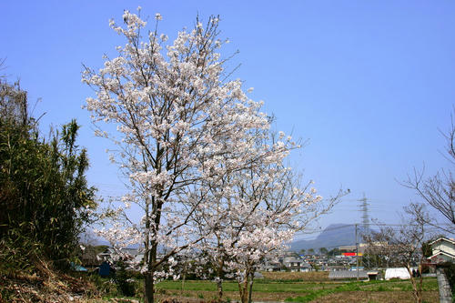 IMG_1957_1.JPG