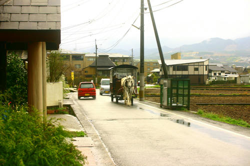 IMG_4419_1.JPG