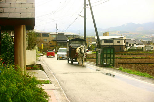 IMG_4420_1.JPG