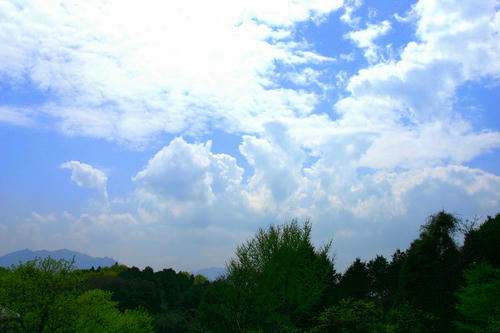 IMG_4464_1.JPG
