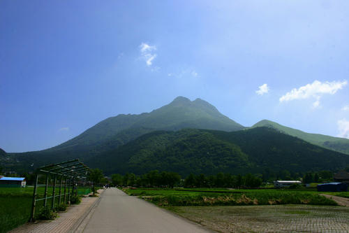IMG_4535_1.JPG