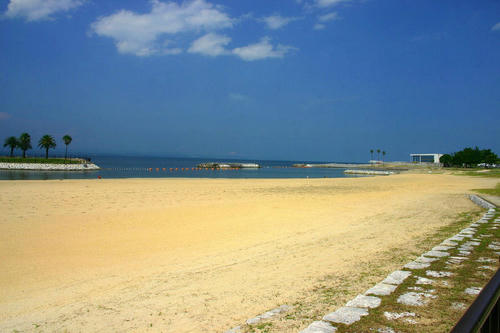 IMG_4542_1.JPG