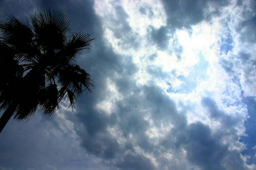 IMG_4556_1.JPG