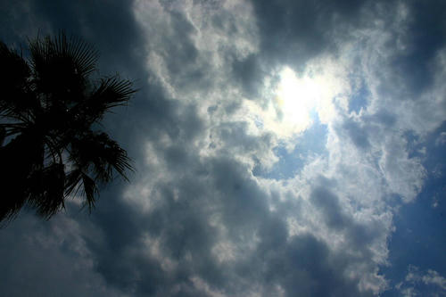 IMG_4557_1.JPG