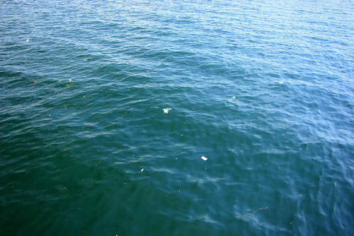 IMG_4563_1.JPG
