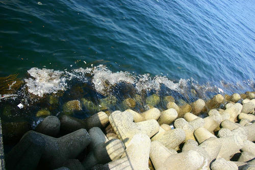 IMG_4566_1.JPG